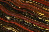Polished Tiger Iron Stromatolite - Billion Years #129338-1